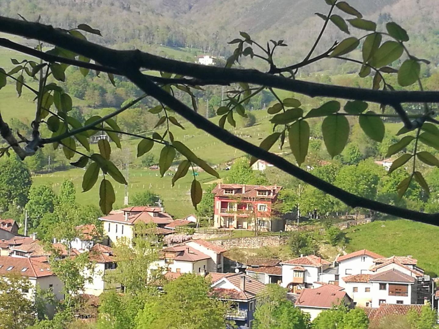 Apartamentos El Picoretu Mestas De Con Exteriér fotografie