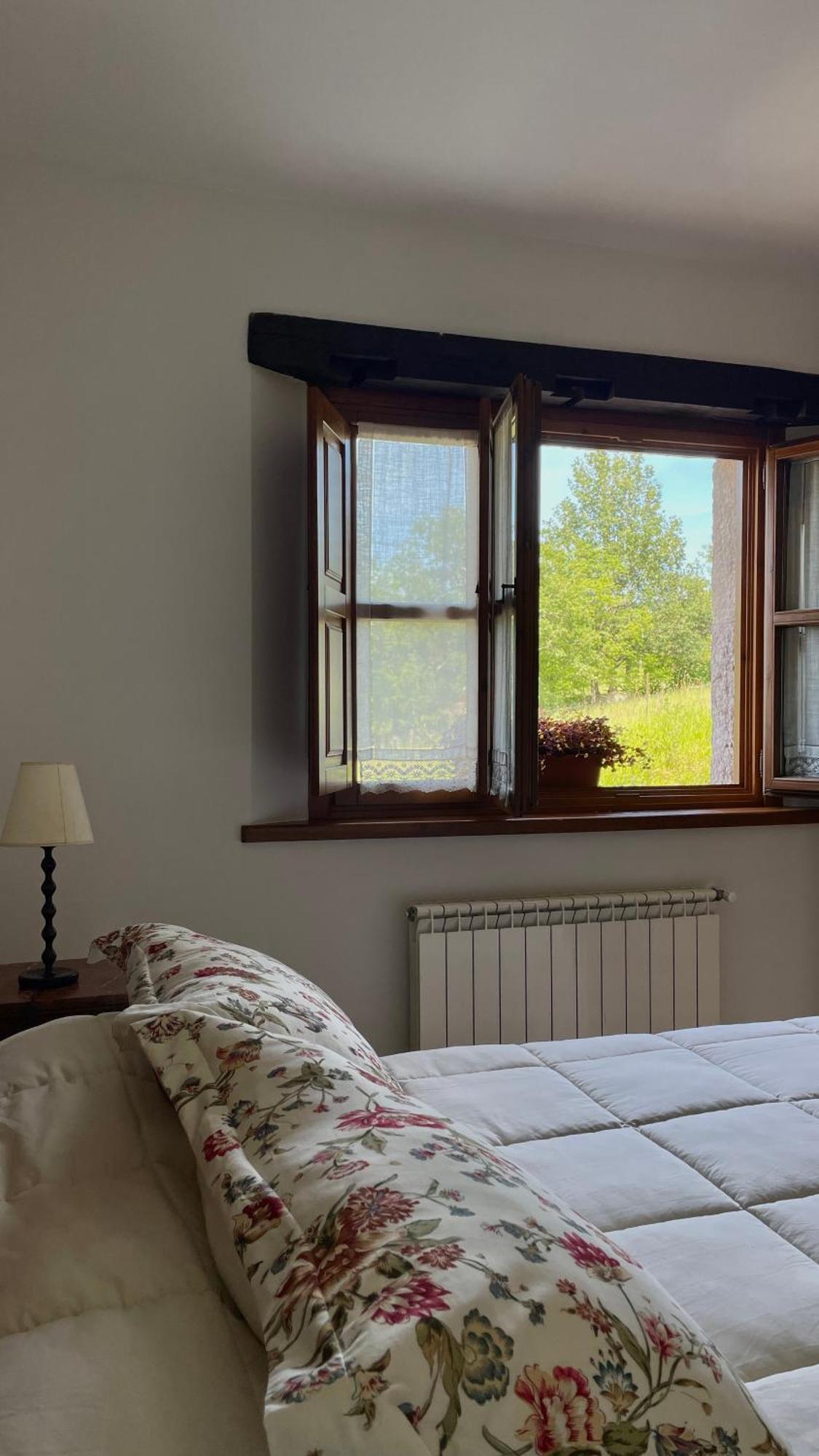 Apartamentos El Picoretu Mestas De Con Exteriér fotografie