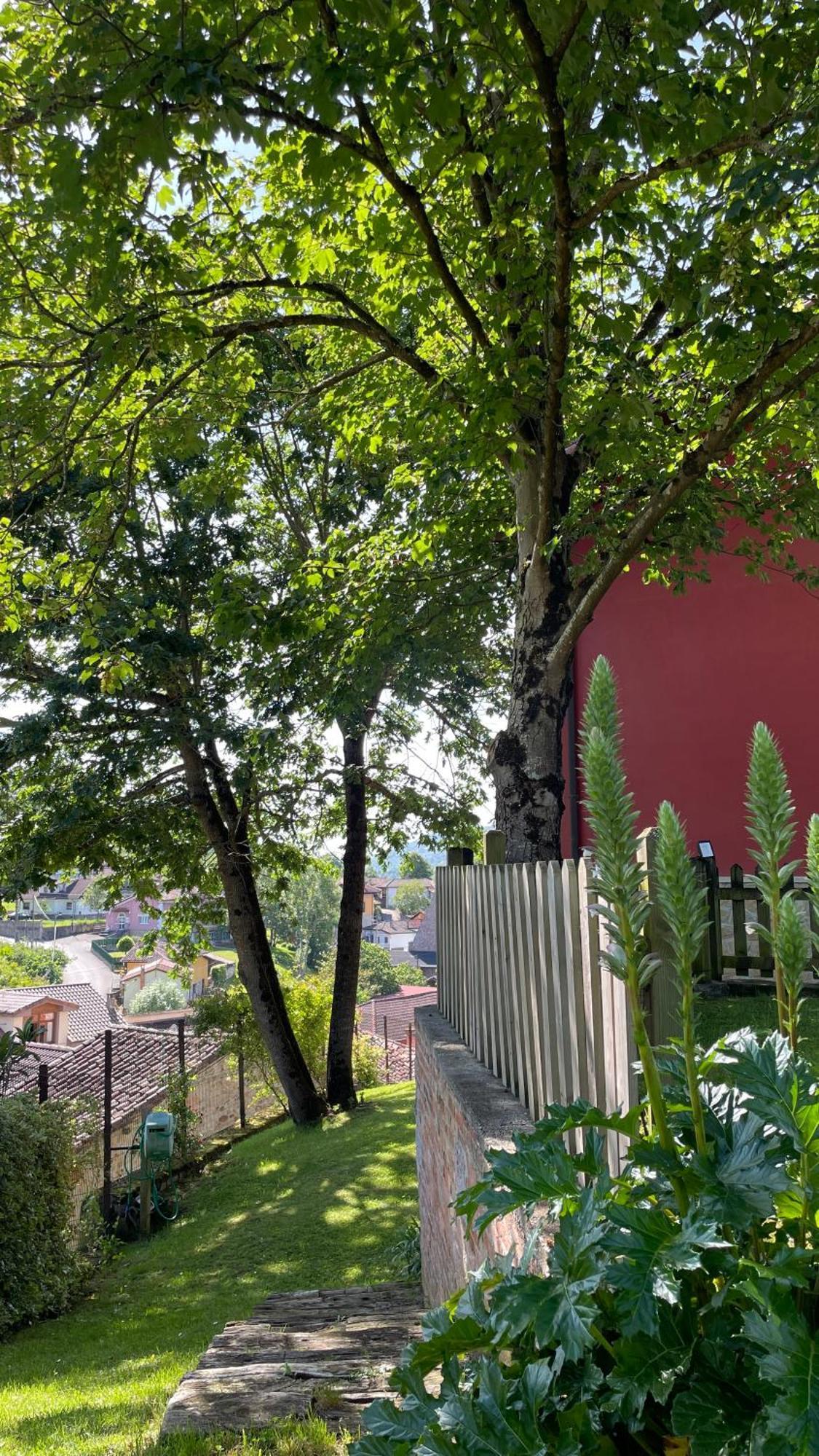 Apartamentos El Picoretu Mestas De Con Exteriér fotografie