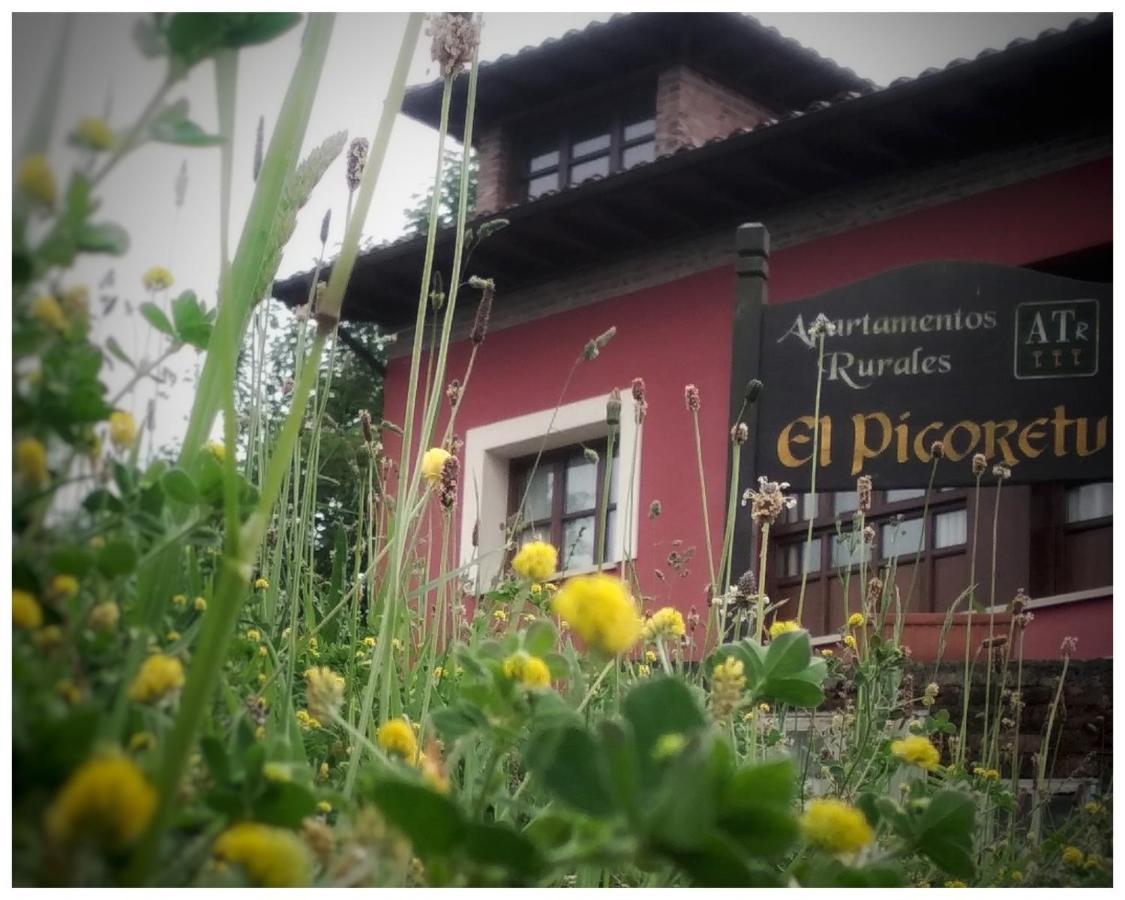 Apartamentos El Picoretu Mestas De Con Exteriér fotografie